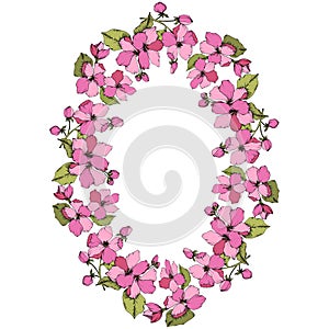 Vector Pink Apple blossom floral botanical flower. Engraved ink art. Frame border ornament square on white background.