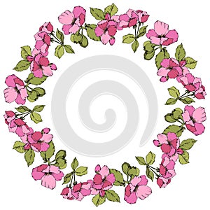 Vector Pink Apple blossom floral botanical flower. Engraved ink art. Frame border ornament square on white background.