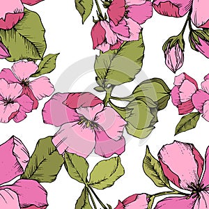 Vector Pink Apple blossom floral botanical flower. Engraved ink art. Seamless background pattern.