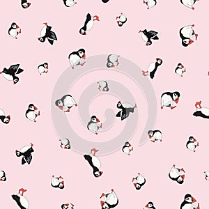 Vector pink background ocean seabird, arctic birds, puffins. Seamless pattern background