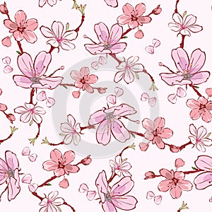 Vector Pink Cherry Sakura Flowers Seamless Pattern