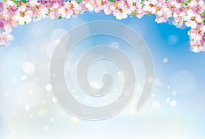 Vector pink, floral border, blossoming sakura tree on blue sky background, bokeh effect.