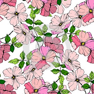 Vector Pink rosa canina flower. Engraved ink art. Seamless background pattern. Fabric wallpaper print texture.