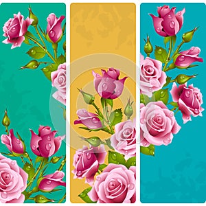 Vector pink Rose frames. Set of floral vertical banners