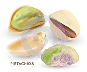 Vector pistache nuts without shell. Realistic 3d kernel. Green pistachio isolated on white background.