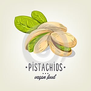 Vector pistachios icon on background. Realistic nut with leaves and seeds.