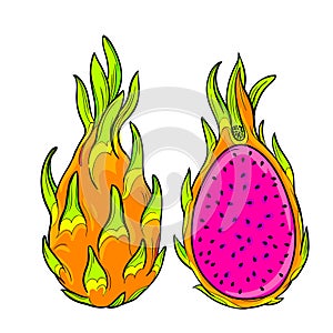 Vector pitaya, dragon fruit.