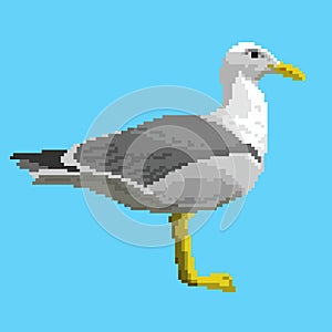 Vector pixal gull