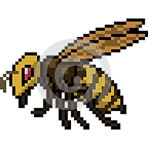 Vector pixel art bee