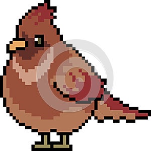 Vector pixel art bird fat