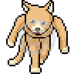 Vector pixel art cat monster