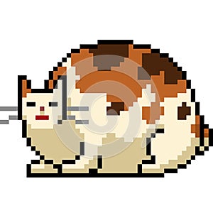 Vector pixel art fat cat