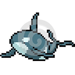 Vector pixel art killer whale