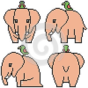 Vector pixel art set elephant