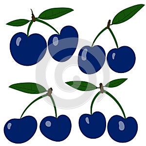 Vector plums. Collection blue plum fruits