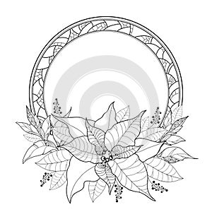 Vector Poinsettia or Christmas Star, leaves and ornate round frame isolated on white. Outline Poinsettia flower for winter