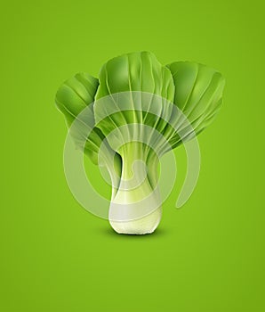 Vector Pok Choy , on green background photo