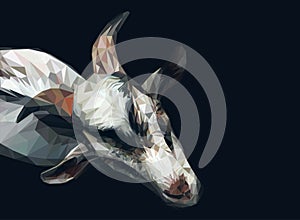 Vector polygonal goat illustration.