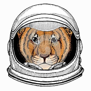 Vector portait of small baby lion head, face. Safari animal. Astronaut animal. Vector portrait. Cosmos and Spaceman