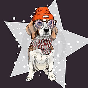Vector portrait of beagle dog wearing beanie, glasses and scarf. Isolated on star and snow. Skecthed color illustraion
