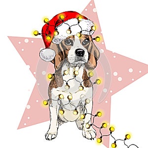 Vector portrait of beagle dog wearing santa hat Christmas lights garland. Isolated on star and snow. Skecthed color