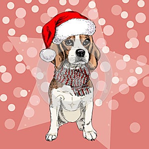 Vector portrait of beagle dog wearing santa hat and scarf. Isolated on star and sparklers bokeh. Skecthed color