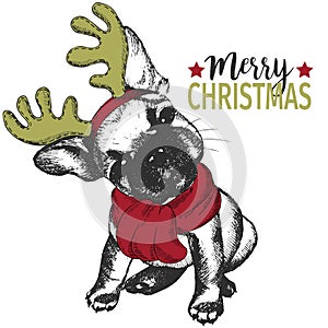 Vector portrait of Christmas dog. French bulldog dog wearing deer horn rim and scarf. Christmas poster, decoration.