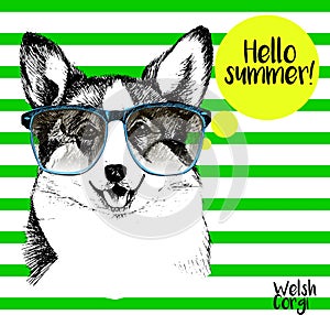 Vector portrait of corgi wearing the sunglassess. Hello summer. Hand drawn dog illustration. on green strips.