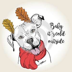 Vector portrait of dog in scarf and leaf ears. Hand drawn dog illustration. Baby it s cold outside.