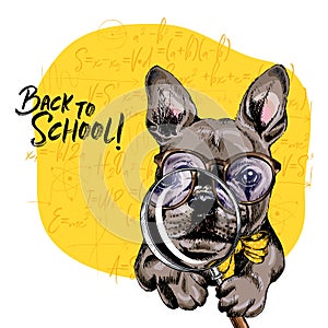 Vector portrait of french bulldog dog with magnifying glass and big nose reflection. Back to school illustration. Math