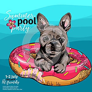 Vector portrait of French bulldog dog swimming in water. Donut float. Summer pool paty illustration. Sea, ocean, beach photo