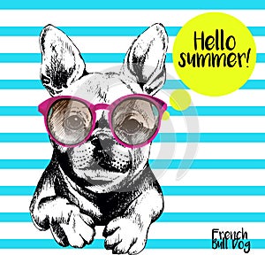 Vector portrait of french bulldog with sunglasses.