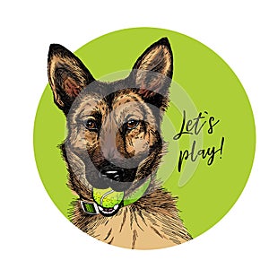 Vector portrait of german shepherd dog with tennis ball. Let s play. Green curveball. Summer cartoon illustration. Hand