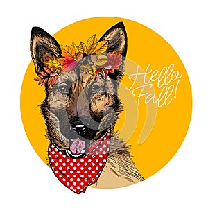 Vector portrait of german shepherd dog wearing autumn leaves crown. Hello fall illustration. Oak, maple, chestnut, rowen