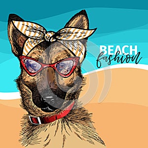 Vector portrait of german shepherd dog wearing sunglasses and retro bow. Summer fashion illustration. Vacation, sea