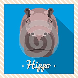 Vector portrait of a hippopotamus, hippo. Symmetrical portraits of animals. Vector Illustration, greeting card, poster. Icon.