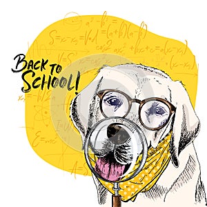 Vector portrait of Labrador retiever dog with magnifying glass and big nose reflection. Back to school illustration