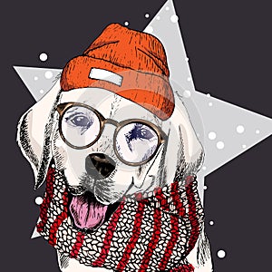 Vector portrait of labrador retriever dog wearing beanie, glasses and scarf. on star, snow. Skecthed color