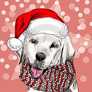 Vector portrait of labrador retriever dog wearing santa hat and scarf. Isolated on snowy trees and sparklers. Sketched