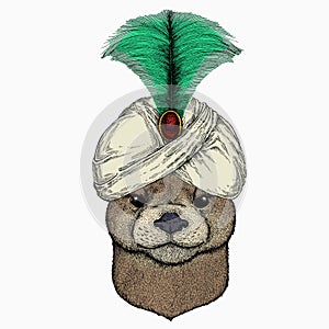 Vector portrait of otter. Head of wild animal. Animal and wizard hat. Sorcerer and magican