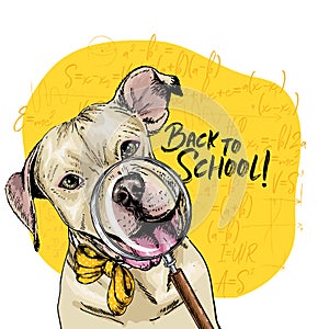 Vector portrait of pit bull terrier dog with magnifying glass and big nose reflection. Back to school illustration. Math