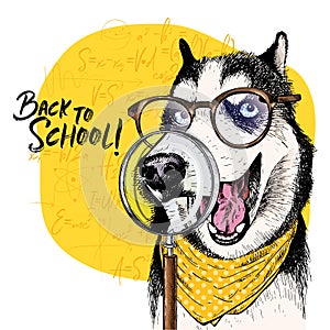 Vector portrait of Siberian Husky dog with magnifying glass and big nose reflection. Back to school illustration. Math