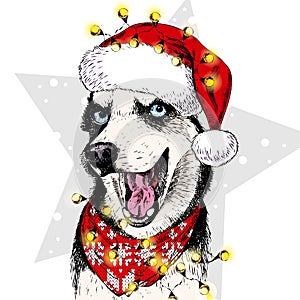 Vector portrait of Siberian Husky dog wearing santa hat Christmas lights garland. Isolated on star and snow. Skecthed