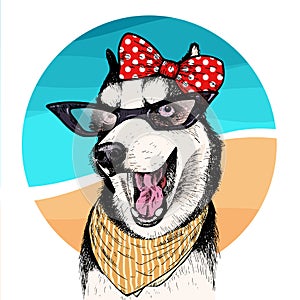Vector portrait of Siberian husky dog wearing sunglasses and retro bow. Summer fashion illustration. Vacation, sea