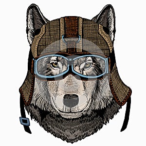Vector portrait of wolf. Cool wild wolf. Animal head.