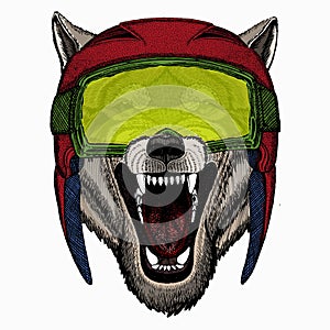 Vector portrait of wolf. Cool wild wolf. Animal head.