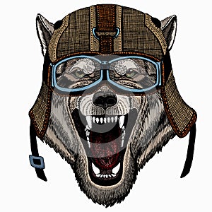 Vector portrait of wolf. Cool wild wolf. Animal head.