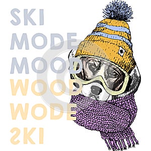 Vector poster with close up portrait of beagle dog.Ski mode mood. Puppy wearing beanie, scarf, goggles.