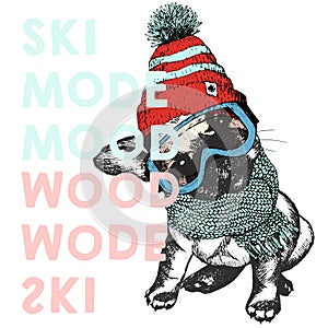 Vector poster with close up portrait of beagle dog.Ski mode mood. Puppy wearing beanie, scarf and snow goggles.