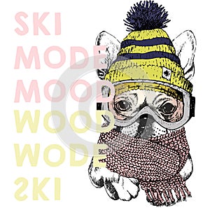 Vector poster with close up portrait of beagle dog.Ski mode mood. Puppy wearing beanie, scarf and snow goggles.